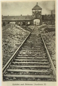 Nationalsozialismus. - Baum, Bruno. Widerstand in Auschwitz.  - Bild 1 von 1