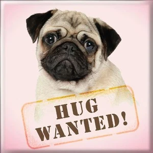 MAGNETS - HUG WANTED - Imagen 1 de 1