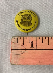 Bottone spilla latta vintage NATIONAL AUDUBON SOCIETY JR MEMBRO Hoot Owl - Foto 1 di 2