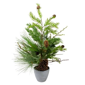 Northlight 2' Potted Mixed Pine, Cedar Twig Artificial Christmas Tree - Unlit - Picture 1 of 6