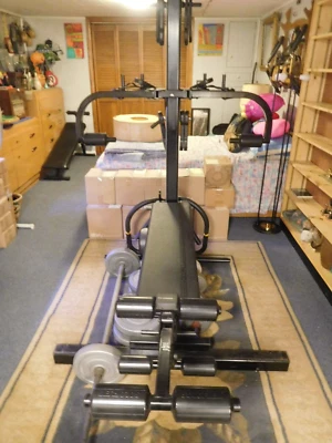 经典 Soloflex 状况良好 腿/拉 13 支带和额外重量套装 — 第 1/4 张图片