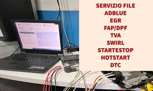 File Tuning Adblue Fap Egr - Foto 1 di 1