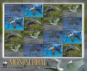 MONTSERRAT - 2010 MNH "WWF - Pájaros garceta rojiza" ¡Hoja de recuerdo!!! - Imagen 1 de 1