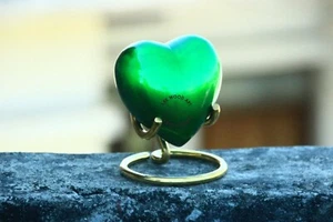 pet urns Heart Keepsake Mini Urn | Cremation Urn for Pet Dog, Cat, Bird's Ashes - Picture 1 of 6