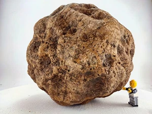 9" Large Unopened Geode Nodule Giant Quartz Crystal Huge 11.9 LB Kentucky - Picture 1 of 8