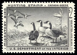 US RW25 $2 Hunting Permit Stamp 1958 Canada Geese in Flight VF NH - Picture 1 of 2