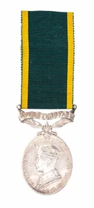 Medalla de Eficiencia Territorial Británica Segunda Guerra Mundial 2055221.CPL.T.I.WEIR.R.A.P.C - Imagen 1 de 1
