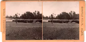 Syrie.Syria.Damas.Lieu ou St Paul conv.Bonfils.Stereoview.Stereo.Albuminée.Photo - Bild 1 von 1