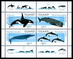 Iceland 1999 Animals, Marine Mammals, whales and porpoise, Minisheet MNH / UNM - Picture 1 of 1