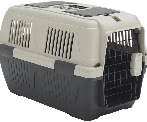 Dehner Lieblinge Transportbox Dino - Bild 1 von 1