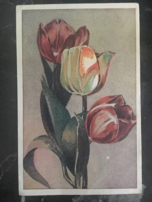 1944 RUSIA URSS IMAGEN COLOR POSTAL CUBIERTA TULIPANES FLORES Foto 1 de 2