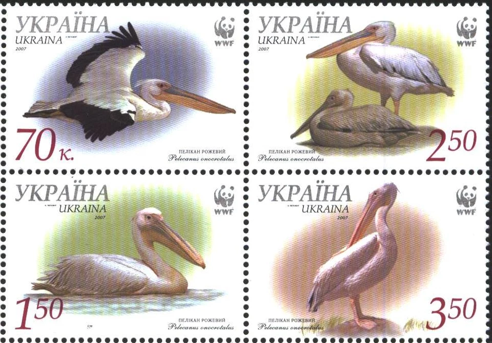 Mint stamps  Fauna WWF  Birds  Pelicans 2007   from  Ukraine  avdpz - Image 1 of 1