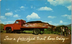 Vintage Humor Postkarte Übertreibung LKW & große Forelle große Geschichten Fische Angeln - Bild 1 von 3