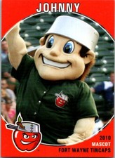 2010 Grandstand Fort Wayne Tincaps Minor League - Pick Choose Your Cards 