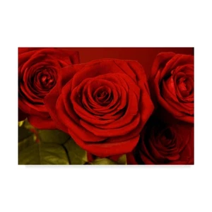 , 16x24-Inch 3 Red Roses by Tom Quartermaine - Picture 1 of 3