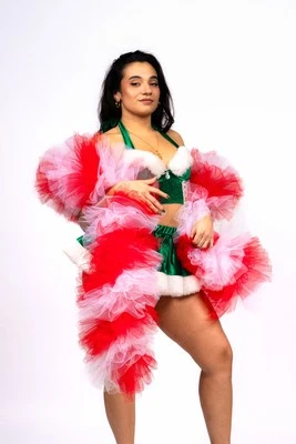 Christmas Tulle Boa (Red & White) 12ft / 3.66m - Image 1 of 4