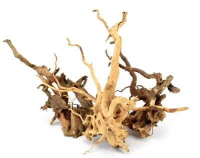 AQUAPLANT-SHOP Aquarium Terrarium Wurzel MOORHOLZ MOORKIENWURZEL GR. S