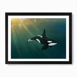 Orca Unterwasser Kunstdruck gerahmt Wa gerahmt Wandbild Poster Leinwanddruck Bild - Bild 1 von 4