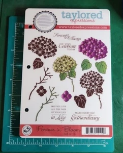 16 Taylored Expressions: " Forever in Bloom" EUC Hydrangeas Flowers Leaf LARGE  - Picture 1 of 2