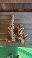 Saltwater soaked authentic driftwood Southern Pine Loblolly root Delaware bays