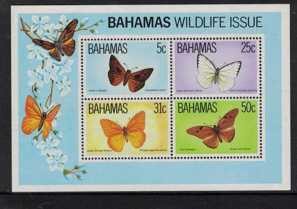 巴哈马蝴蝶 SC 542a 全新无标签 (6epd) — 第 1/1 张图片