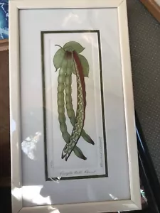 Purple Hull Peas 7x13 vegetables,matted,framed,signed BARBIE TIDWELL, numbered - Picture 1 of 2