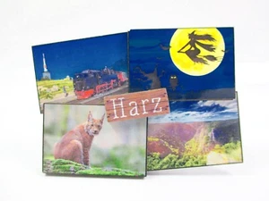 Harz Luchs Hexe Eisenbahn 4er Premium Magnet Holz Souvenir Germany (97) - Bild 1 von 4
