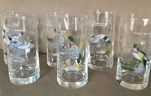 Ned Smith Game Bird Drinking Glass Set - 6 Glasses - Great Condition - Picture 1 of 10