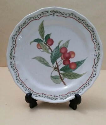 VAJILLA - Gourmet Harvestby NORITAKE - Plato de ensalada 8 1/4 en usado Foto 1 de 4