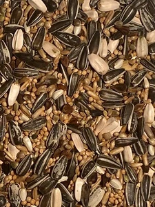 Großsittichfutter 3 Kg Nymphensittichfutter Ziervogelfutter - Bild 1 von 2