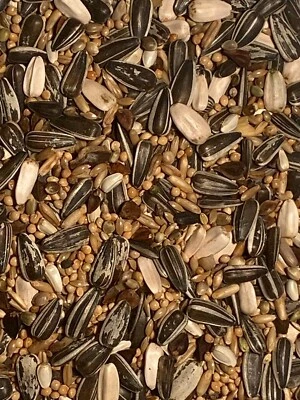 Großsittichfutter 1 Kg Nymphensittichfutter Ziervogelfutter - Bild 1 von 2