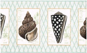 SEA SHELLS IN FRAMES WITH CONCH SHELLS AND BLUE TRIM Wallpaper Wall bordeR Deco - Picture 1 of 2