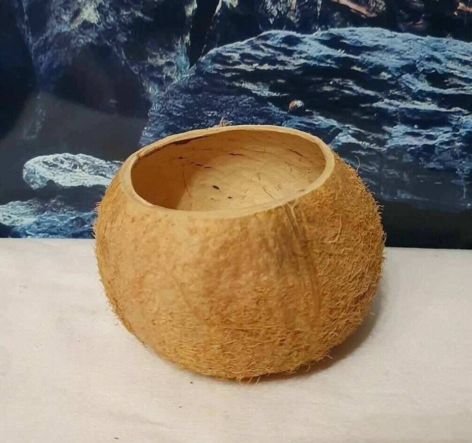 MARKENLOS Kokosnuss Halbschale mit Fasern ca 10-13cm Höhle Futterschale Aquarium Terrarium