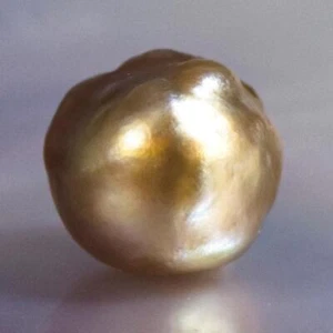 1.30 cts Natural Wild Pteria Penguin Oyster Pearl 5.85 mm Extremely Rare 0.26 g - Picture 1 of 13