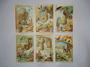 Liebig Trade Cards - "Birds Nests - I" - Full Set of 6 - Belgium/France - GC - Picture 1 of 2