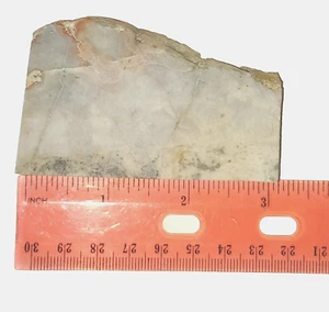 Lapidario de losa desconocida roca áspera para geología tabing especímenes científicos de ciencia de 2,97 oz - Imagen 1 de 14
