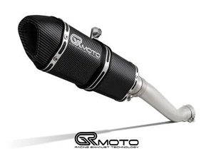 Exhaust for Aprilia RSV4 2009-2014 GRmoto Carbon - Picture 1 of 6