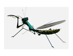 Praying Mantis Metal Model Blue Insect 3D Laser Cut Metal Model DIY Kit Gift - Picture 1 of 6