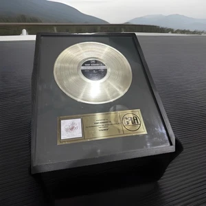 Record Custom Record Award Tony Hibbert 11 fleckig religiös einzeln gerahmt selten - Bild 1 von 10