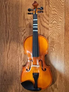 Violín Mendini de Cecilio 4/4 (Just the Violin) - Imagen 1 de 6