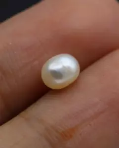 Oval Shape 5 X 4 MM 100% Natural Loose Pearl Small Basra Certified Gem 0.95 Ct - Picture 1 of 10
