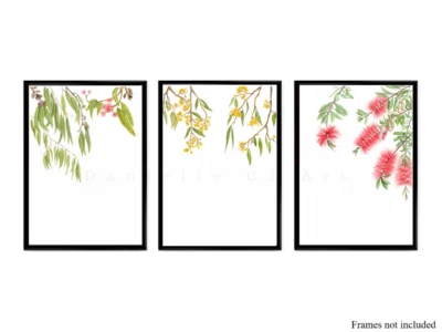 Juego de 3 impresiones botánicas nativas australianas en acuarela - Foto 1 de 4