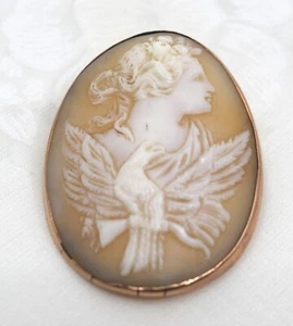 Broche antiguo tallado con cameo ovalado cameo de oro amarillo liso 10k mujer águila - Imagen 1 de 12