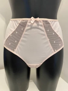 Sculptresse Candi Bellini Pink Plus Size Briefs Knickers Pants Panties Underwear - Picture 1 of 6
