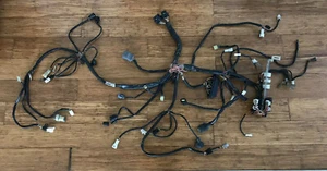 Used KTM 990 ADV main harness 2006 - Picture 1 of 11