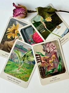 The Flower Oracle Deck, 44 Card Divination Deck by Broccoli - Picture 1 of 10