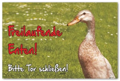 AdriLeo Schild - Vorsicht Indische Laufente Freilaufende Ente - Achtung