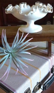 Vintage Fenton Silver Crest Milk Glass double ruffle rim footed compote - Picture 1 of 7