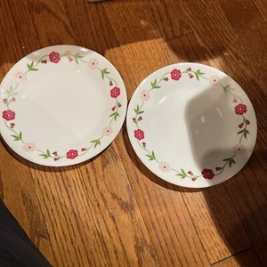 Juego de 2 PLATOS DE POSTRE/ENSALADA CORELLE PRIMAVERA ROSA/ROJO 6 3/4" - Imagen 1 de 7