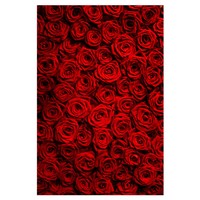 Red Rose Flower Wall Backdrop Wedding Decor Party Photo Background 3*5ft